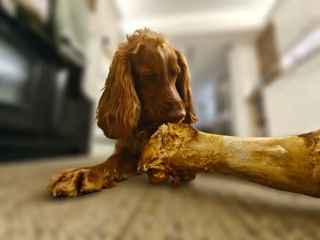 IMG20251105200404 (1).webp