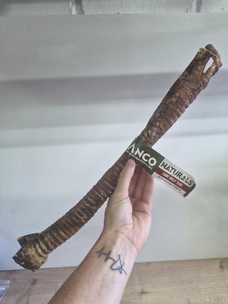 ANCO Giant Bully Tube