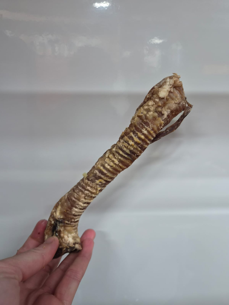 Lamb Tube