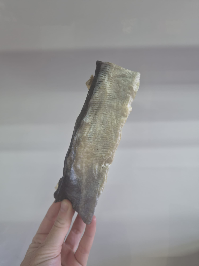 Fish Flattie
