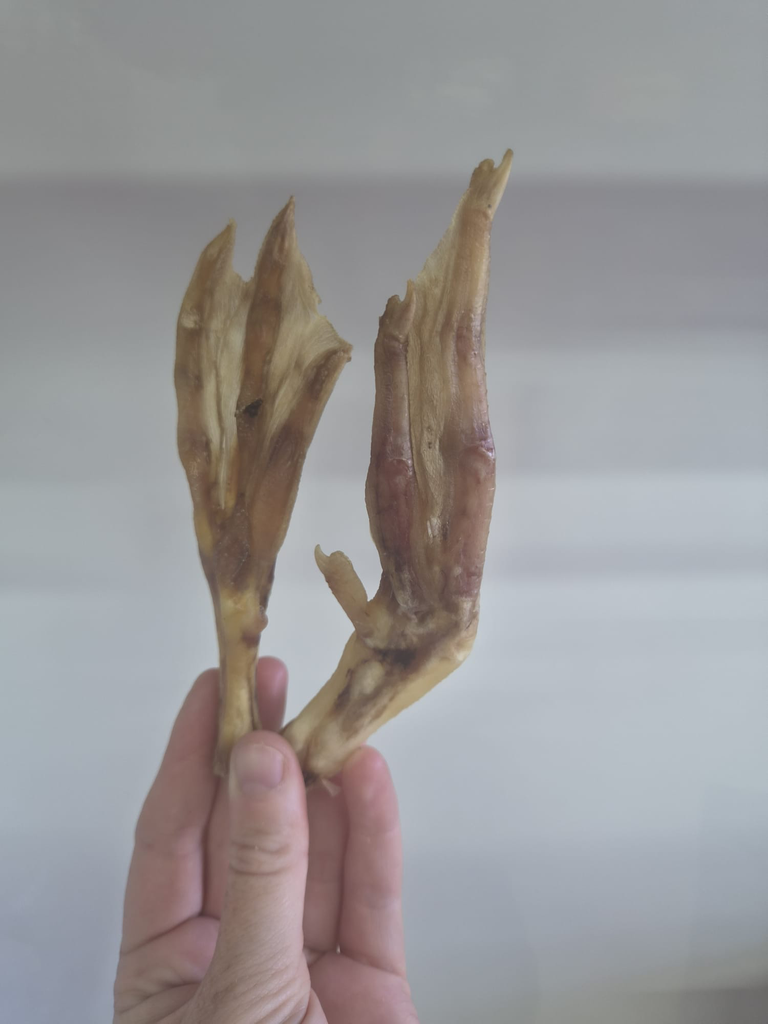 Duck Feet