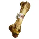 Ostrich Dino Bone