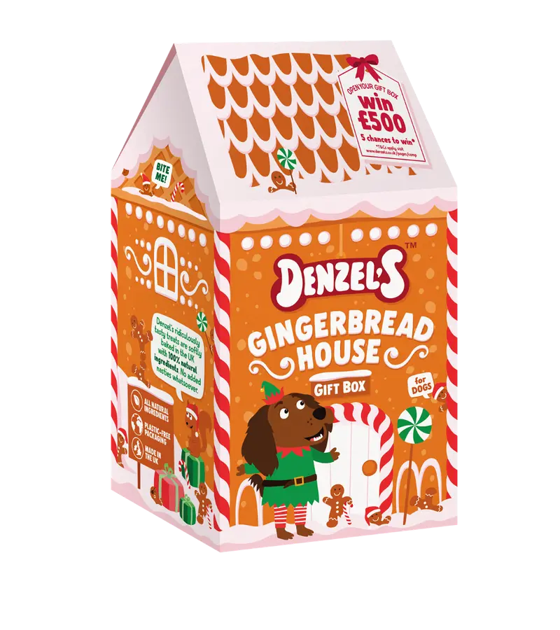 Denzel's Gingerbread House Gift Box